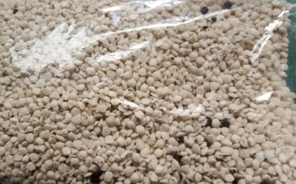 �ͺϷʔD���w��