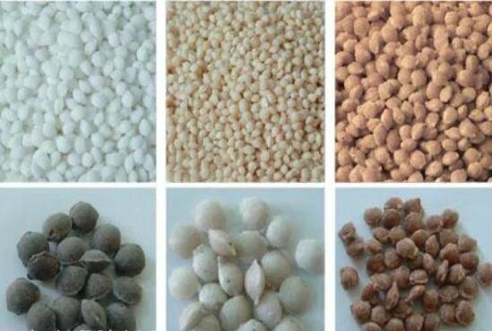 ���Nԭ�ϔD���w��