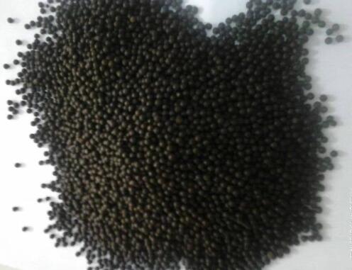 �i�S�ЙC���w��