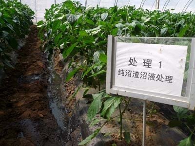 �ЙC��ԭ��--����