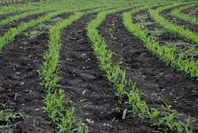 �ЙC(j��)�����О�ʲôҪ����΢�����������̎����Щ��