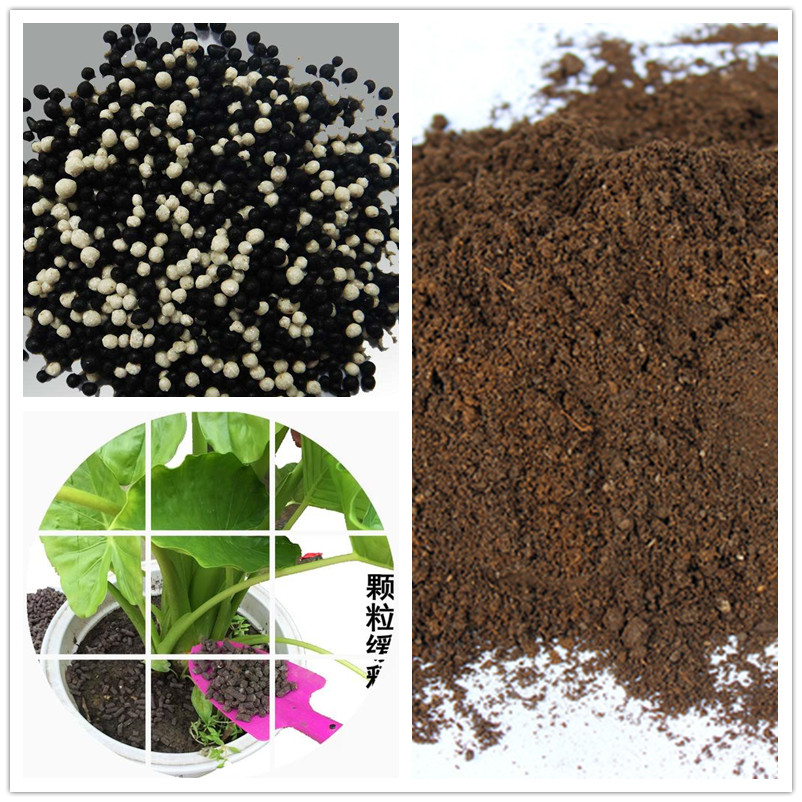  �r(n��ng)�ҼS�I(y��ng)�B(y��ng)ȫ������ʲô����ֱ���ã�