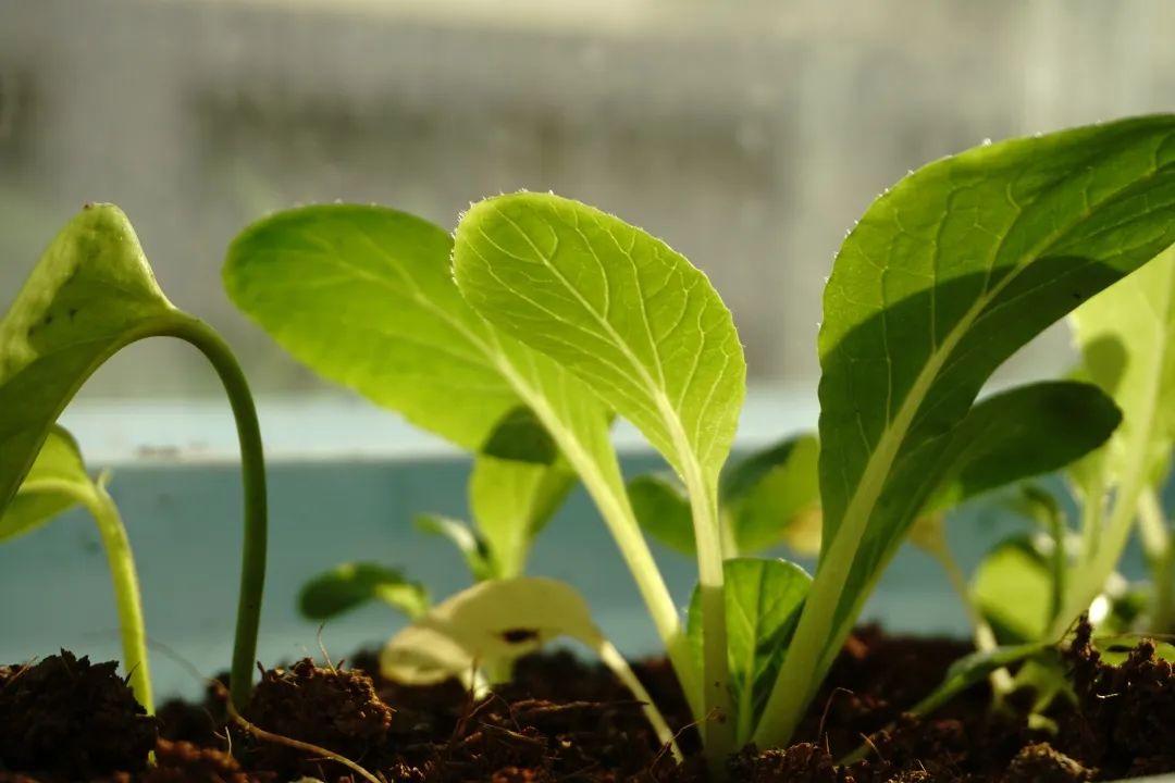  �ЙC(j��)���Ͼ߂����ׂ�(g��)���c(di��n)