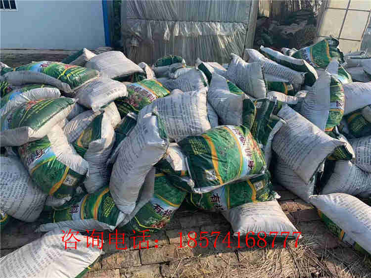 �w���ЙC���ϬF(xi��n)��Ҋ�C