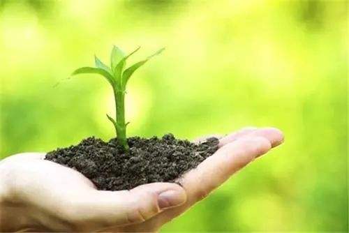 ������F(xi��n)��ϵ˥����ԭ����ʲô��