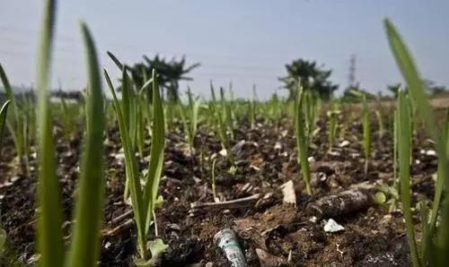 ��ʲôʹ�þ��ʺ�Ч��������