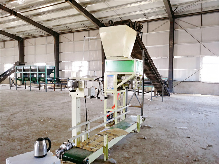 生物肥料有機肥自動包裝機 自動定量稱重顆粒打包機定制廠家 興達機械