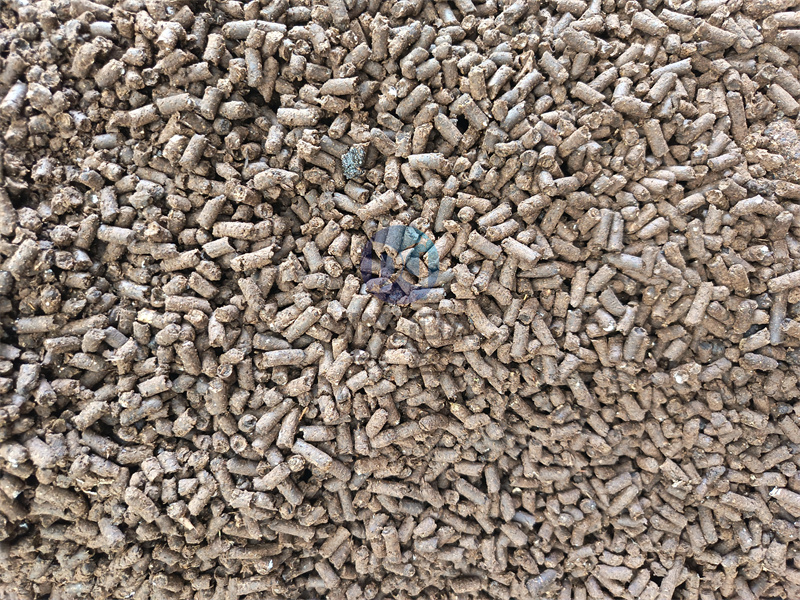 ���������C���w��չʾ